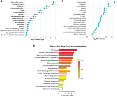 Metabolomics profiling to characterize cerebral ischemia-reperfusion injury in mice